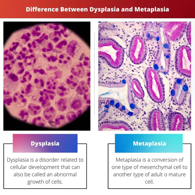 डिसप्लेसिया और मेटाप्लासिया के बीच अंतर