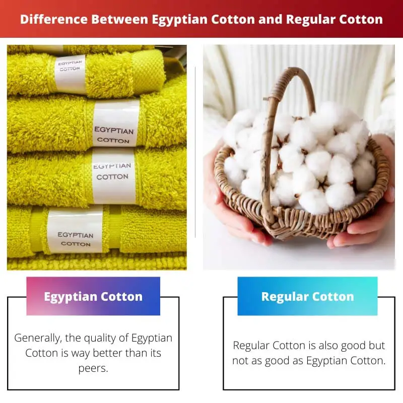 Difference Between Egyptian Cotton and Regular Cotton