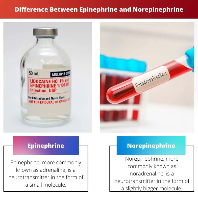 Atšķirība starp epinefrīnu un norepinefrīnu
