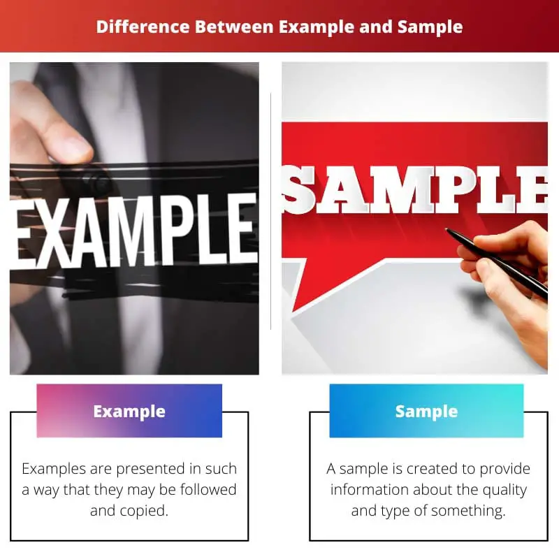 Difference Between Example and Sample