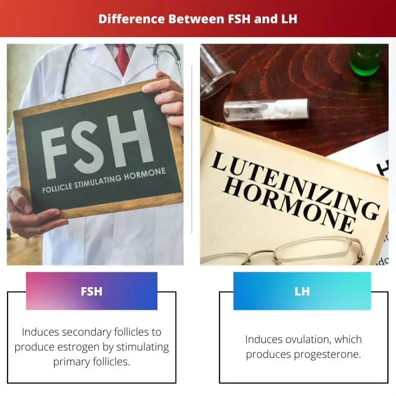 الفرق بين FSH و LH