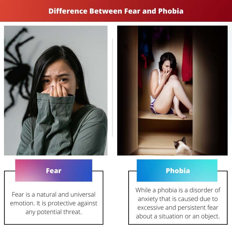 Разница между страхом и фобией