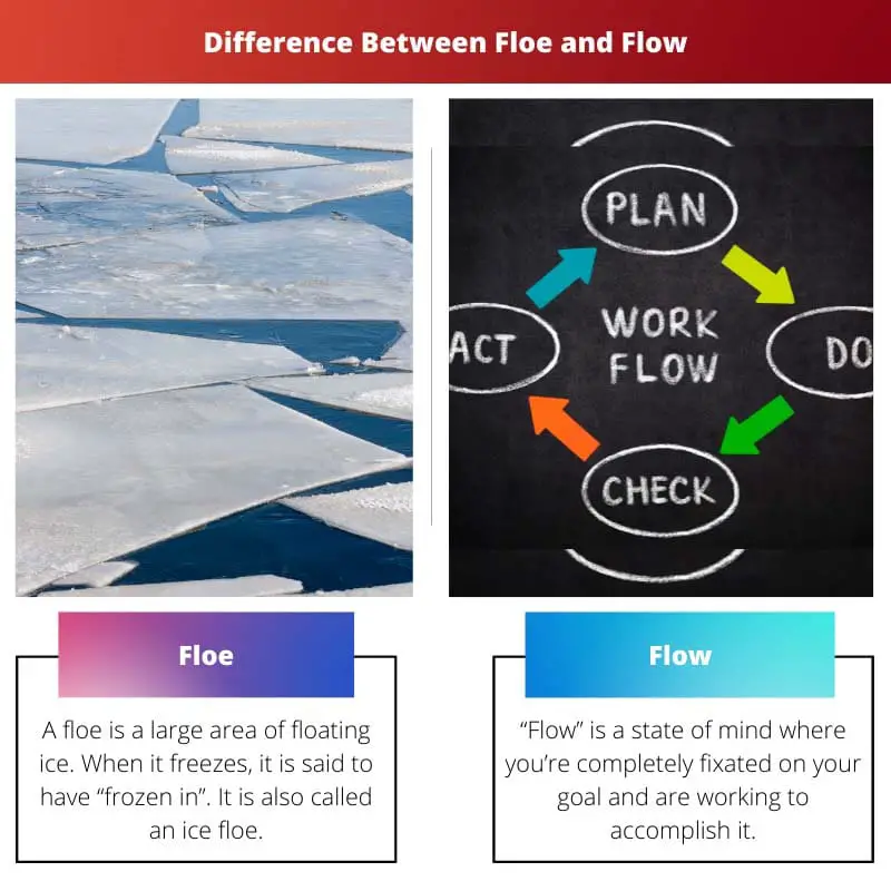 ความแตกต่างระหว่าง Floe และ Flow