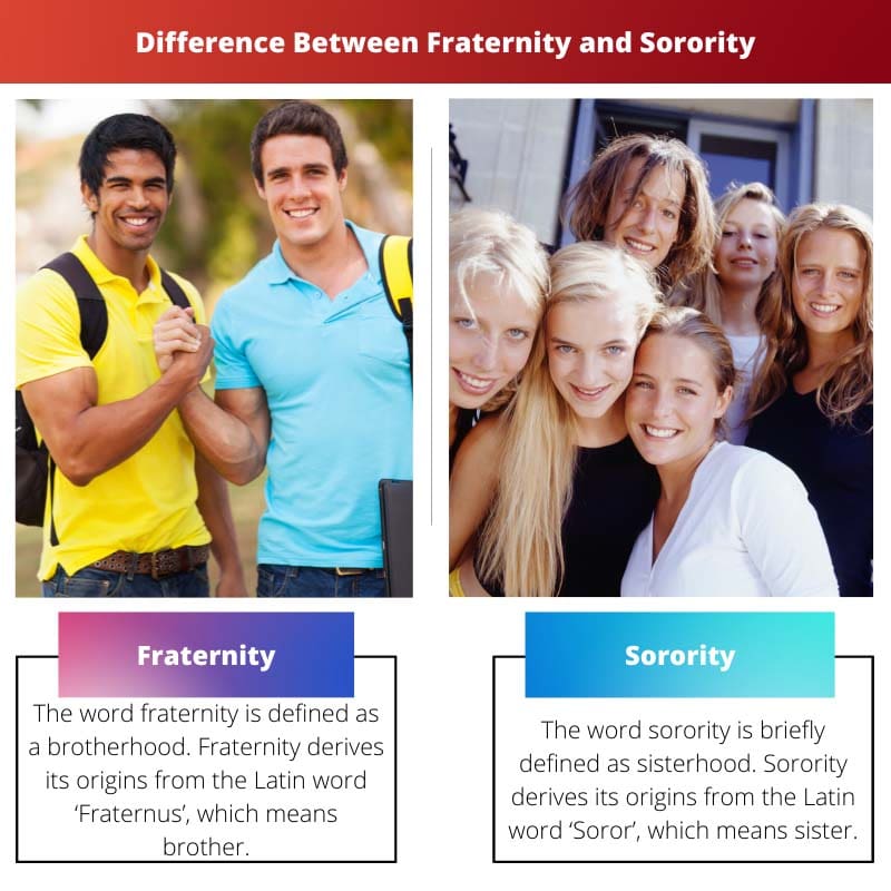 Difference Between Fraternity and Sorority