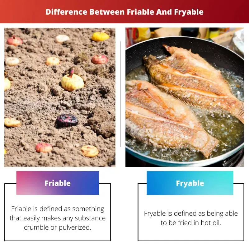 Difference Between Friable And Fryable