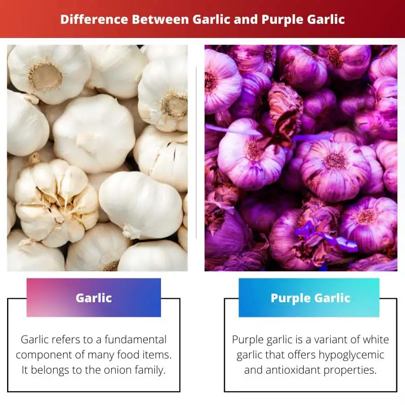 Rozdíl mezi česnekem a fialovým česnekem