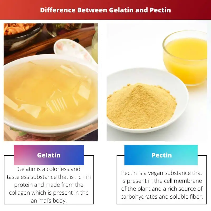 Différence entre la gélatine et la pectine