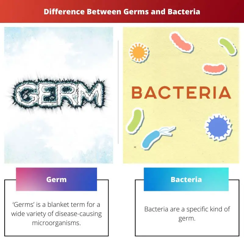 Difference Between Germs and Bacteria