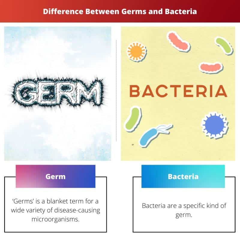 Differenza tra germi e batteri