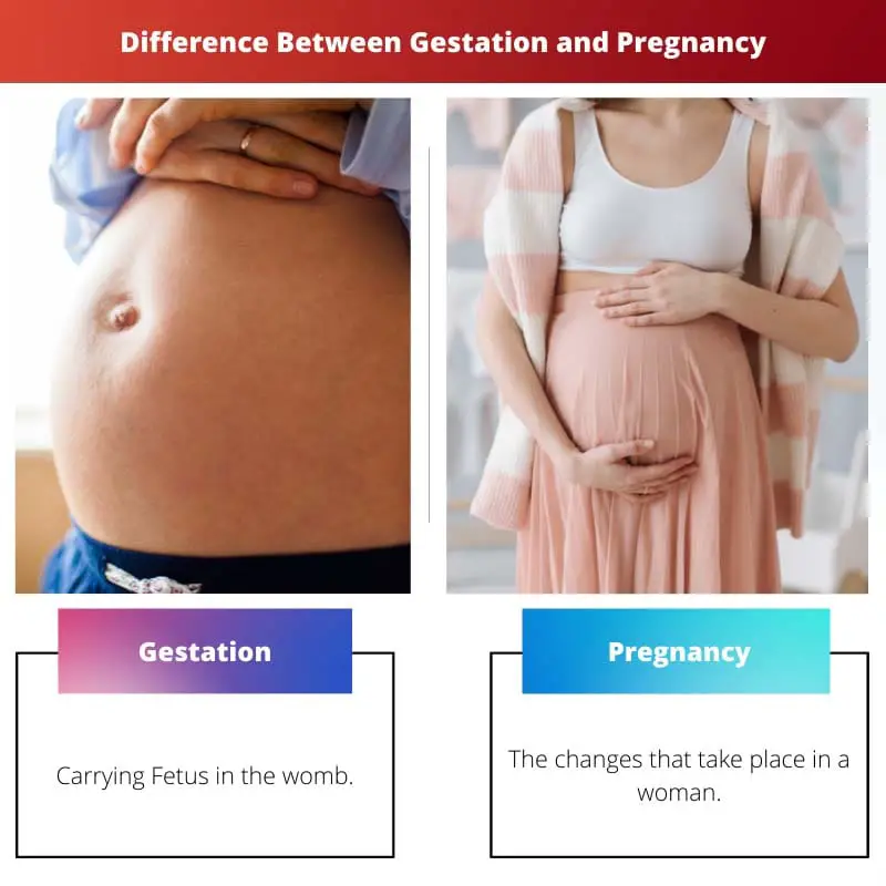 गर्भधारण और गर्भावस्था के बीच अंतर