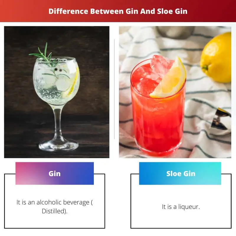 Verschil tussen Gin en Sloe Gin