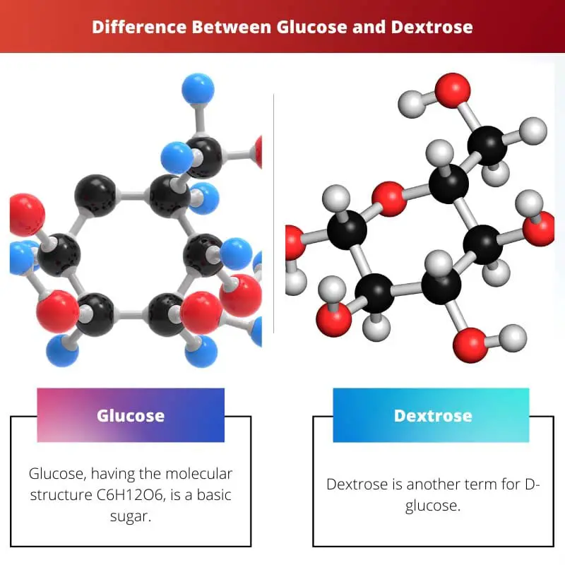 Difference Between Glucose and