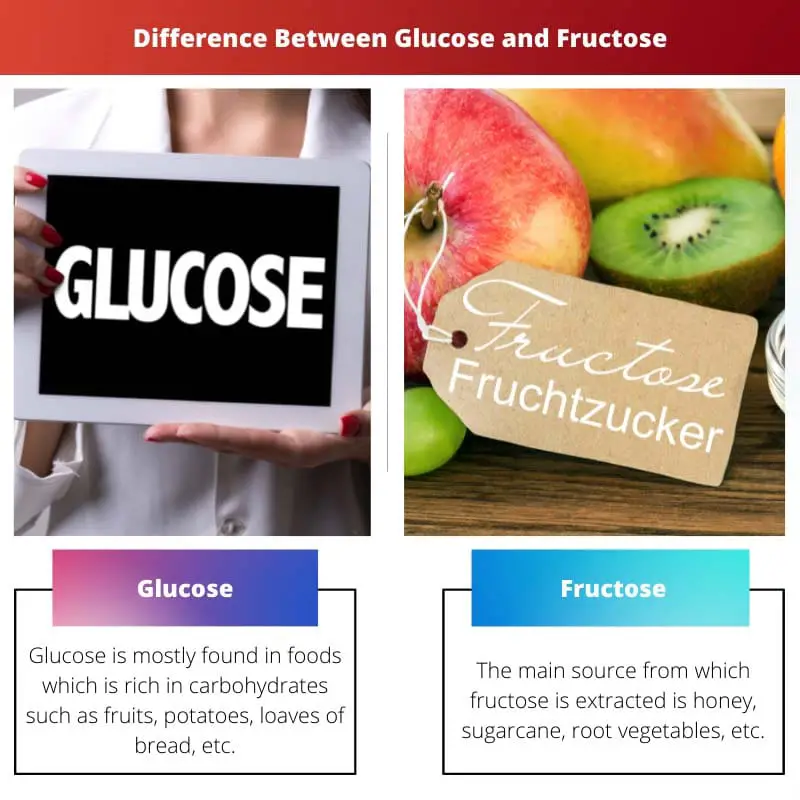 Difference Between Glucose and Fructose