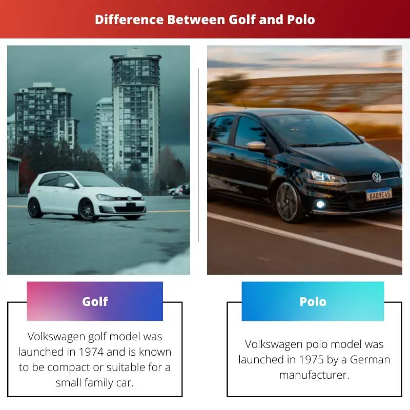 Sự khác biệt giữa Golf và Polo