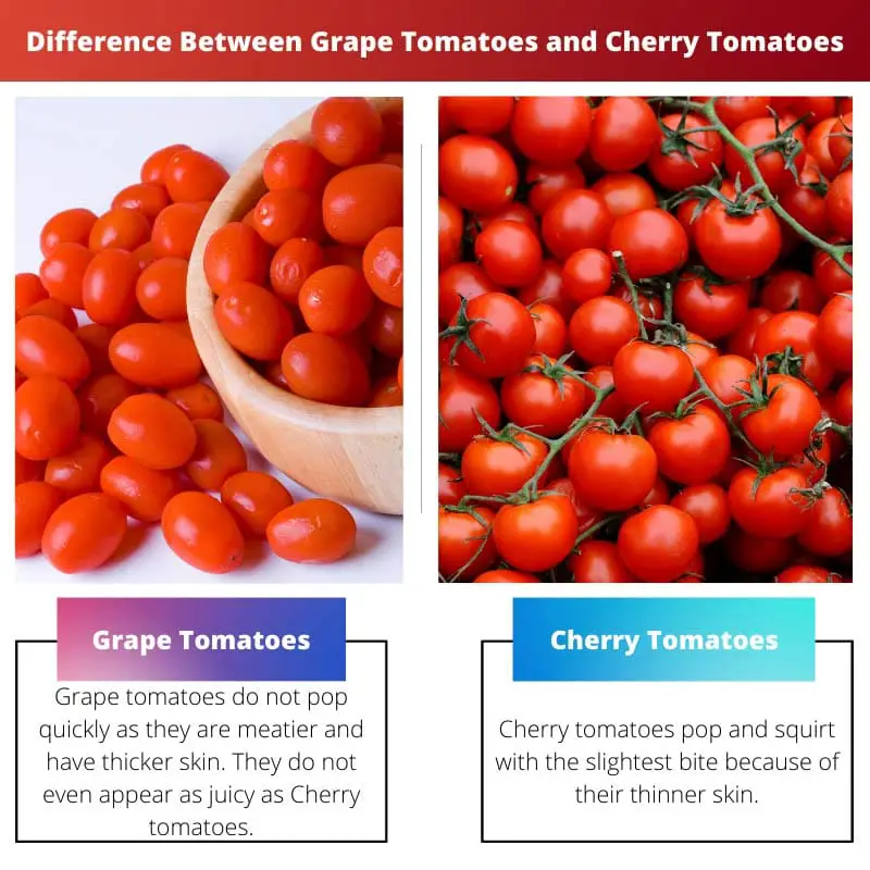 Difference Between Grape Tomatoes and Cherry Tomatoes