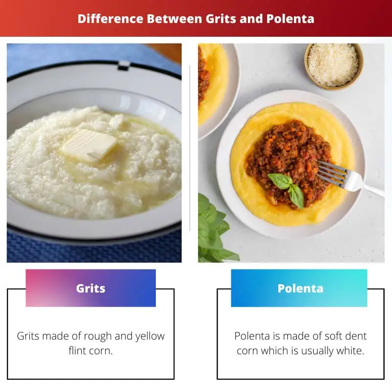 Diferença entre grãos e polenta