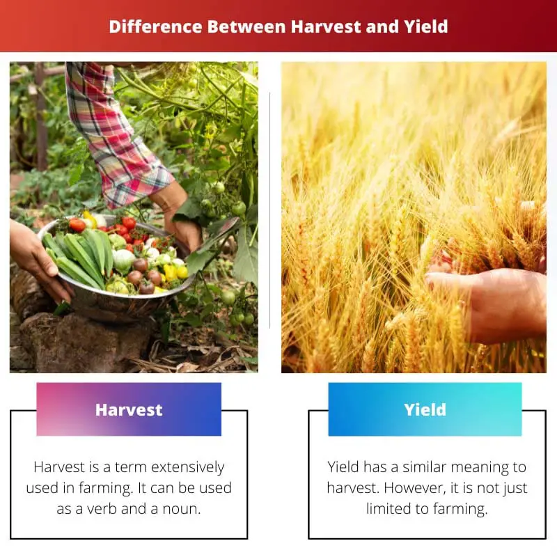 Difference Between Harvest and Yield