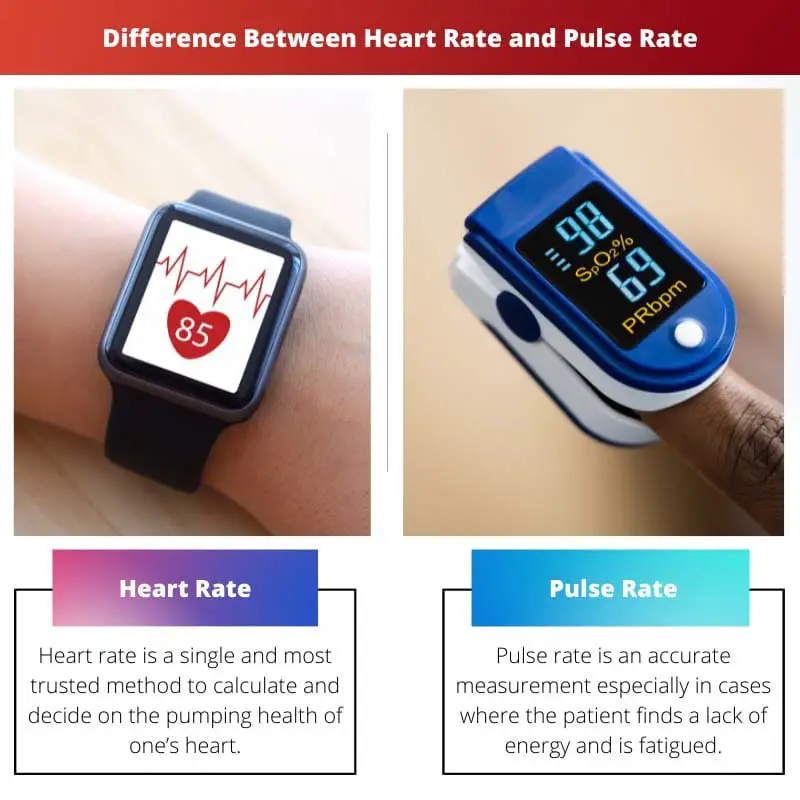 ความแตกต่างระหว่างอัตราการเต้นของหัวใจและอัตราชีพจร