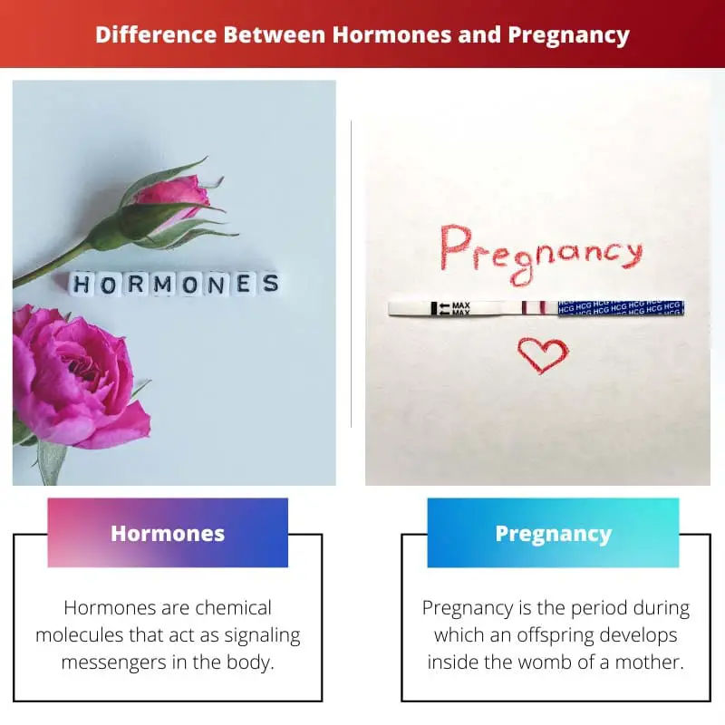 Sự khác biệt giữa nội tiết tố và mang thai