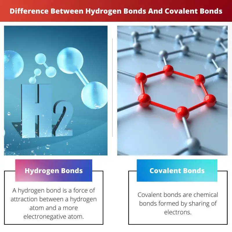 Разница между водородными связями и ковалентными связями