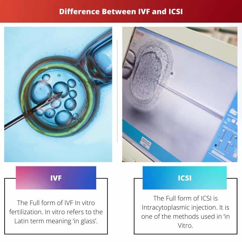 Unterschied zwischen IVF und ICSI