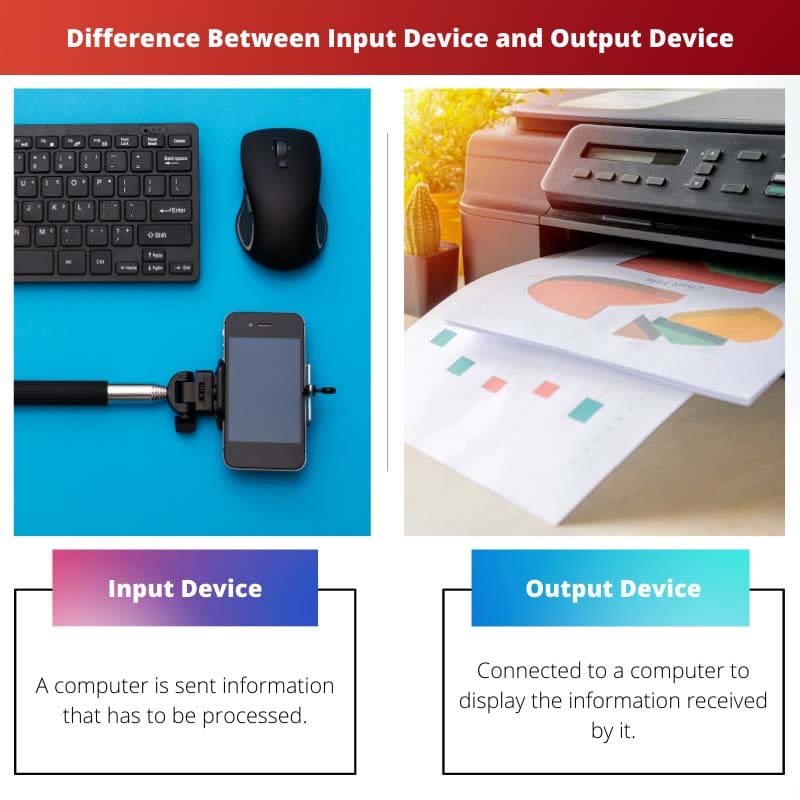 Differenza tra dispositivo di input e dispositivo di output