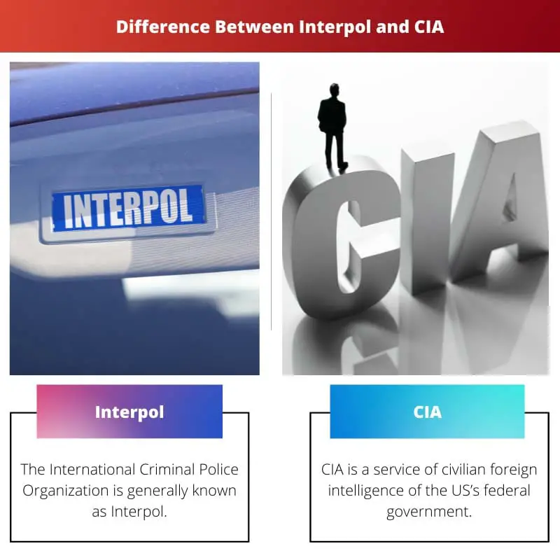 Forskellen mellem Interpol og CIA