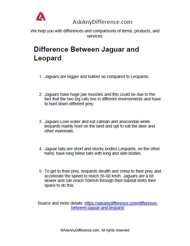 Difference Between Jaguar and Leopard