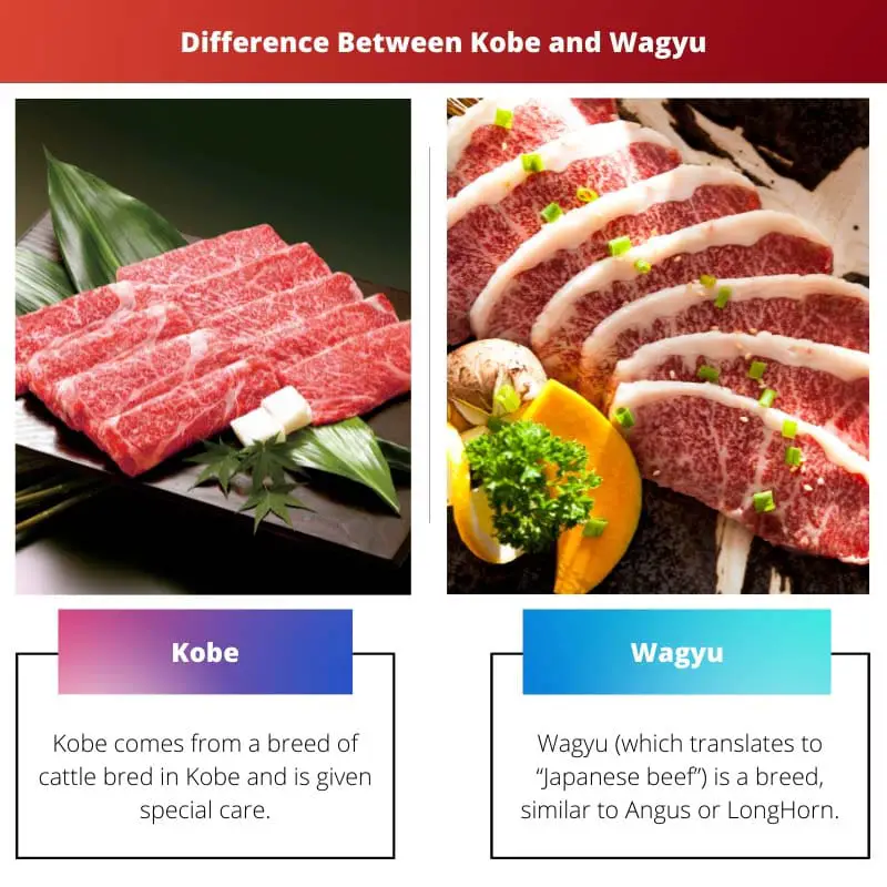 Rozdíl mezi Kobe a Wagyu