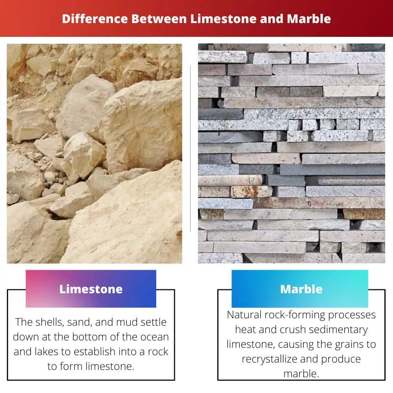 Sự khác biệt giữa đá vôi và đá cẩm thạch