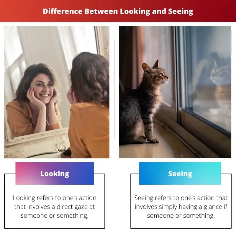 Difference Between Looking and Seeing