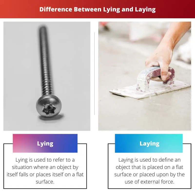 Difference Between Lying and Laying