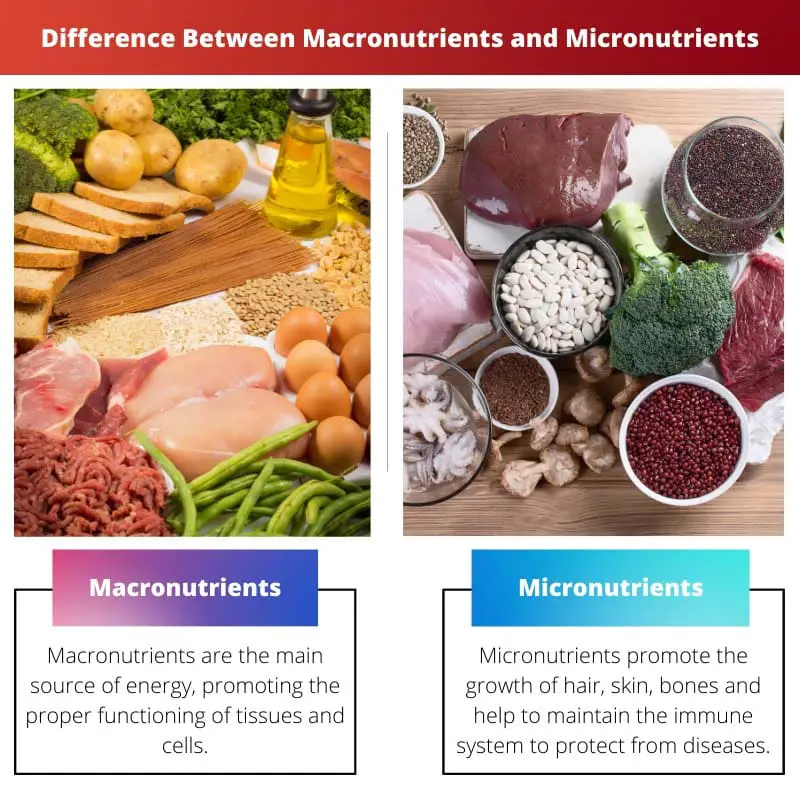 Difference Between Macronutrients and Micronutrients