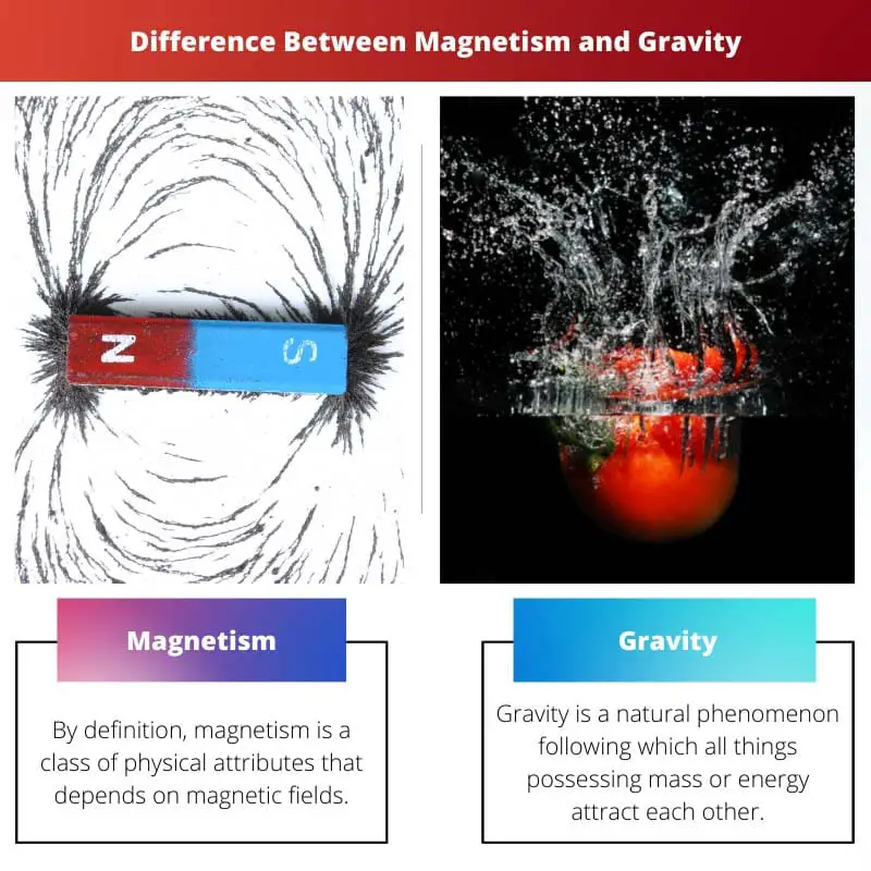 Diferença entre magnetismo e gravidade