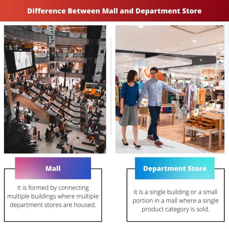Difference Between Mall and Department Store
