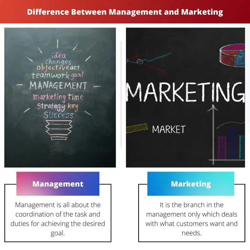 Difference Between Management and Marketing