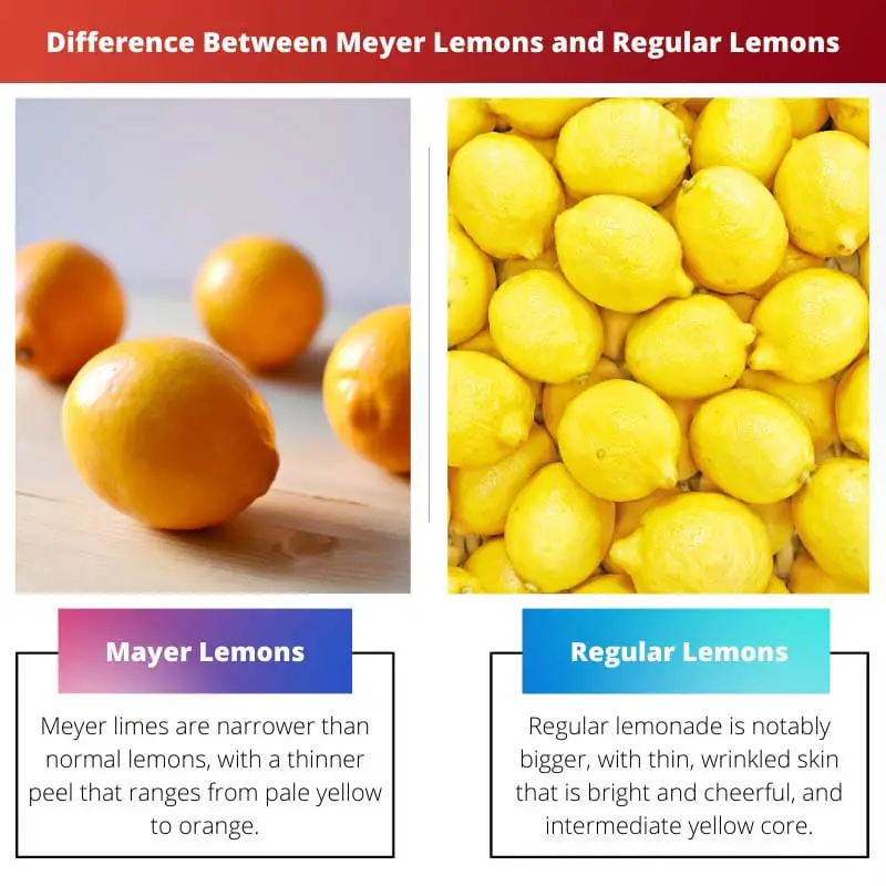 Разница между лимонами Мейера и обычными лимонами