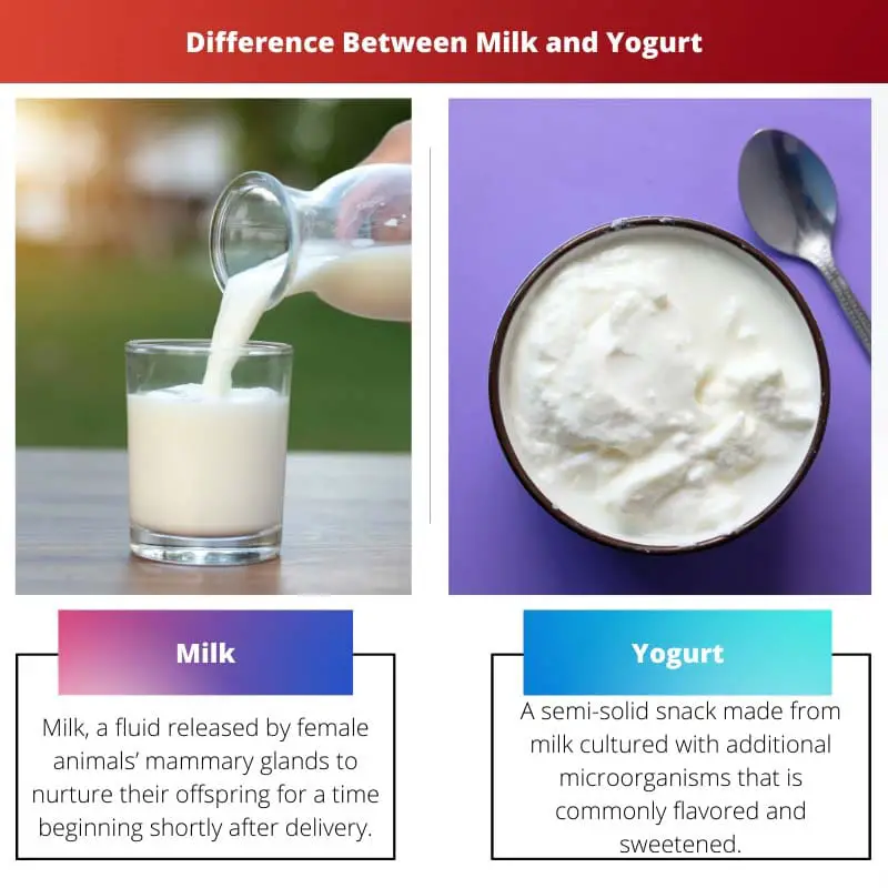 Difference Between Milk and Yogurt