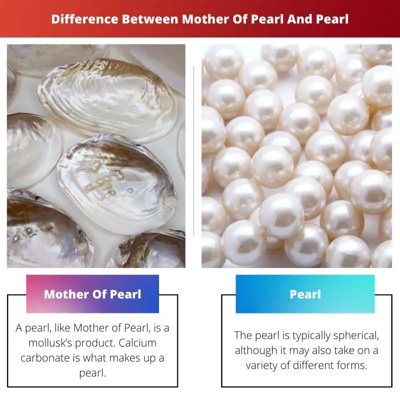Difference Between Mother Of Pearl And Pearl