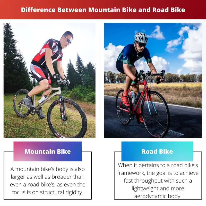 Διαφορά μεταξύ Mountain Bike και Road Bike