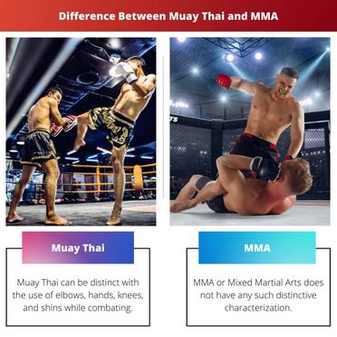 Muay Thai vs Kickboxing: Decoding the Differences