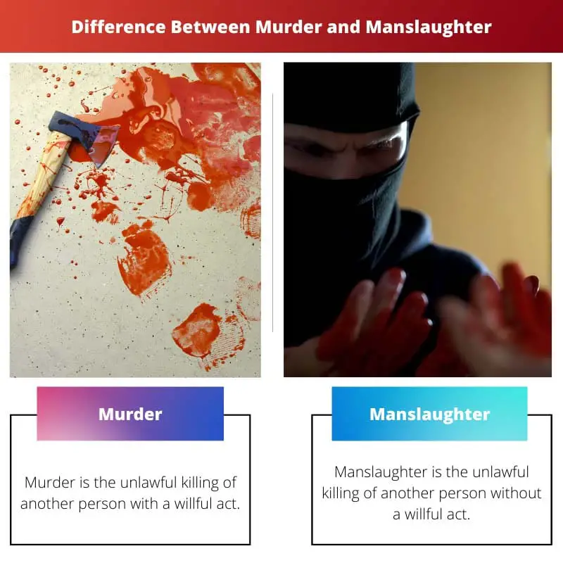 Difference Between Murder and Manslaughter