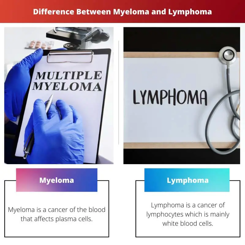 Diferencia entre mieloma y linfoma