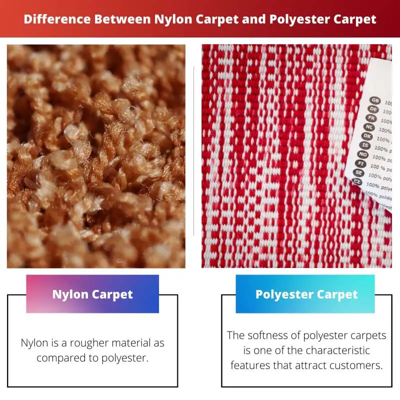 Разница между нейлоновым ковром и ковром из полиэстера