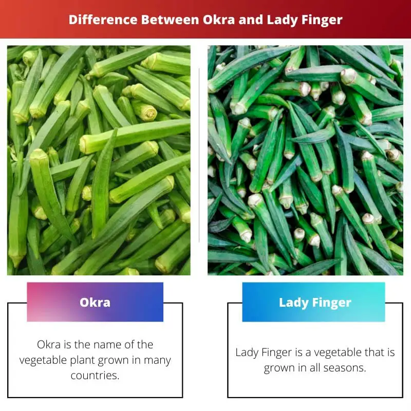Diferença entre Quiabo e Lady Finger