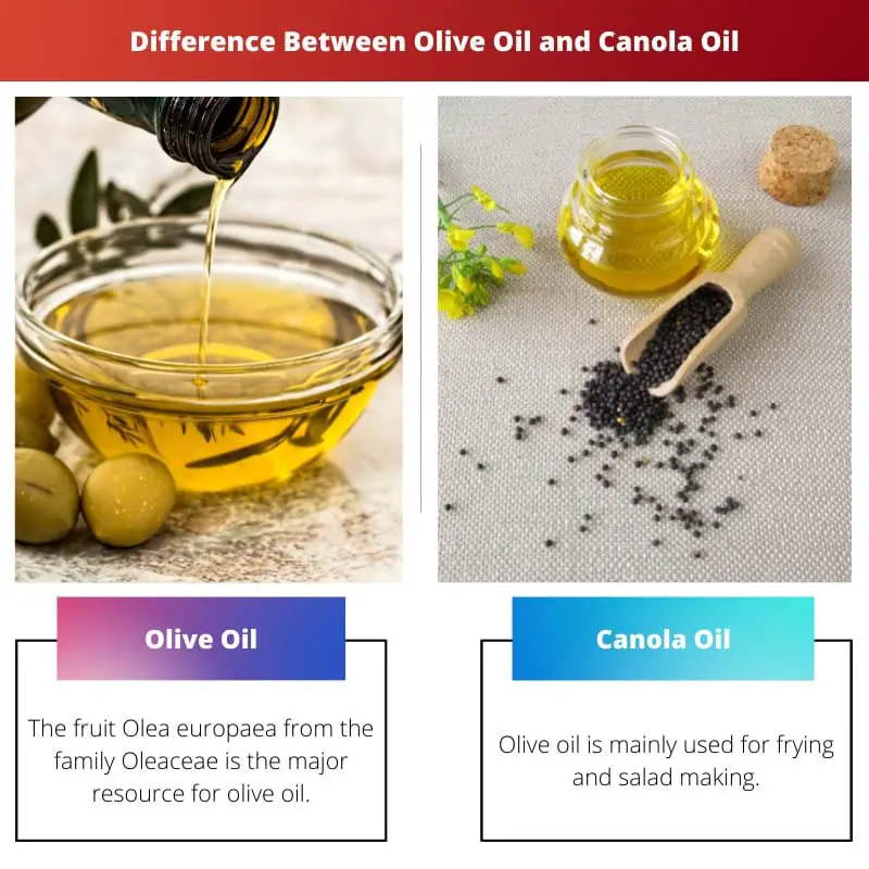 Rozdíl mezi olivovým olejem a řepkovým olejem