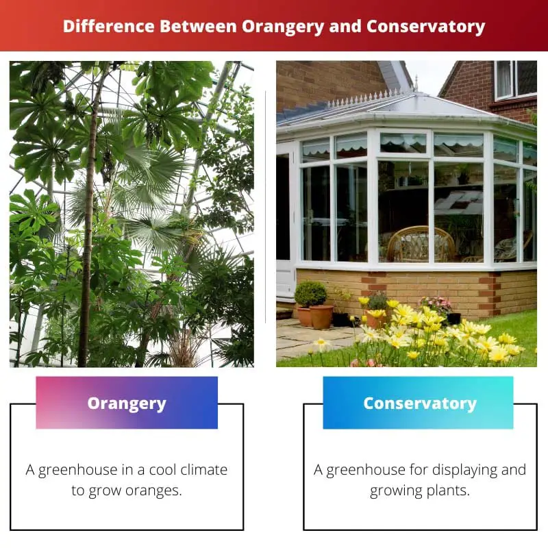 Differenza tra Orangerie e Conservatorio