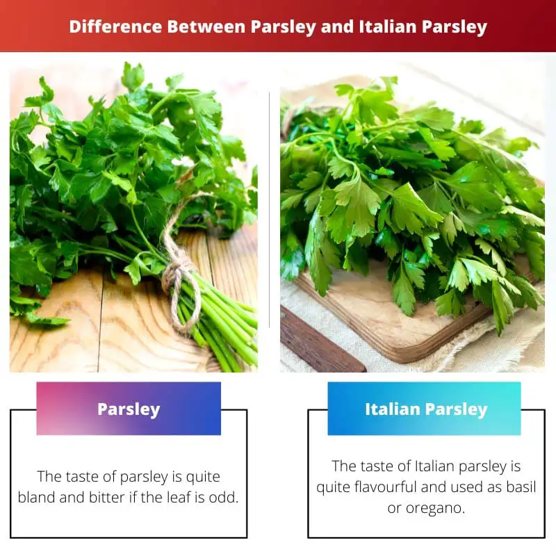 Différence entre le persil et le persil italien