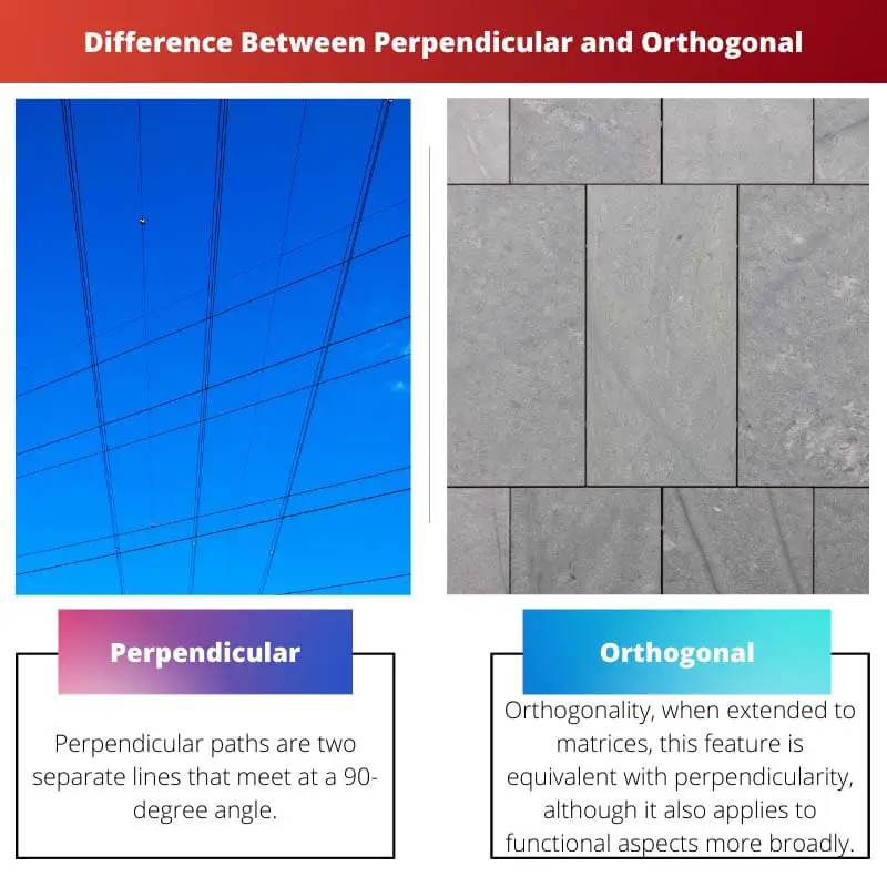 Différence entre perpendiculaire et orthogonal