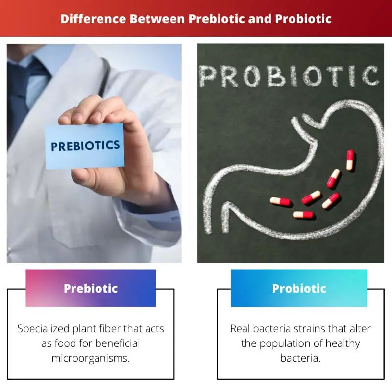 Diferença entre prebiótico e probiótico